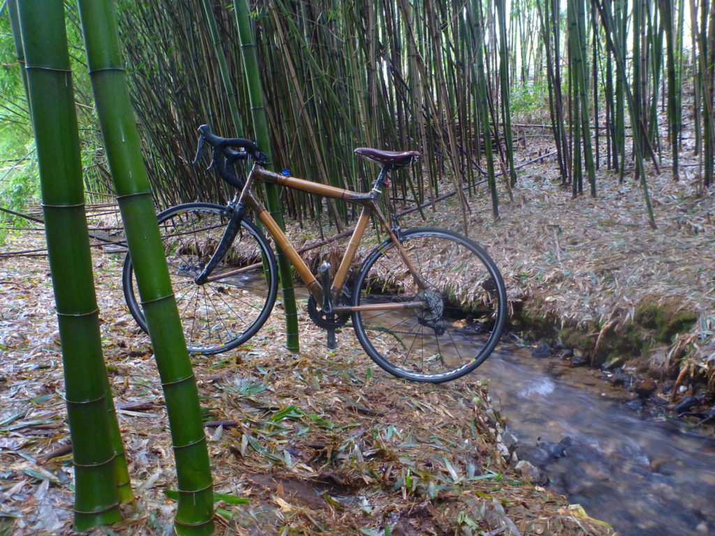 Vélo en bambou dnas la bambouseraie