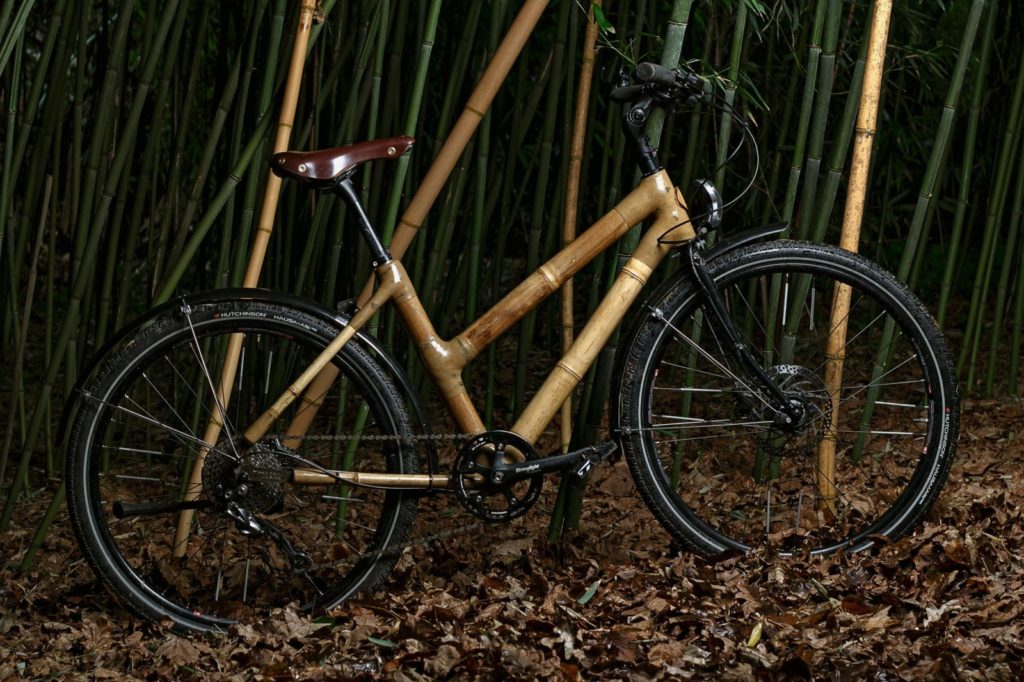 Breizhtois dans la bambouseraie